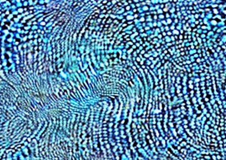 AI Lyric Analysis – “Ripple” by Grateful&nbsp;Dead